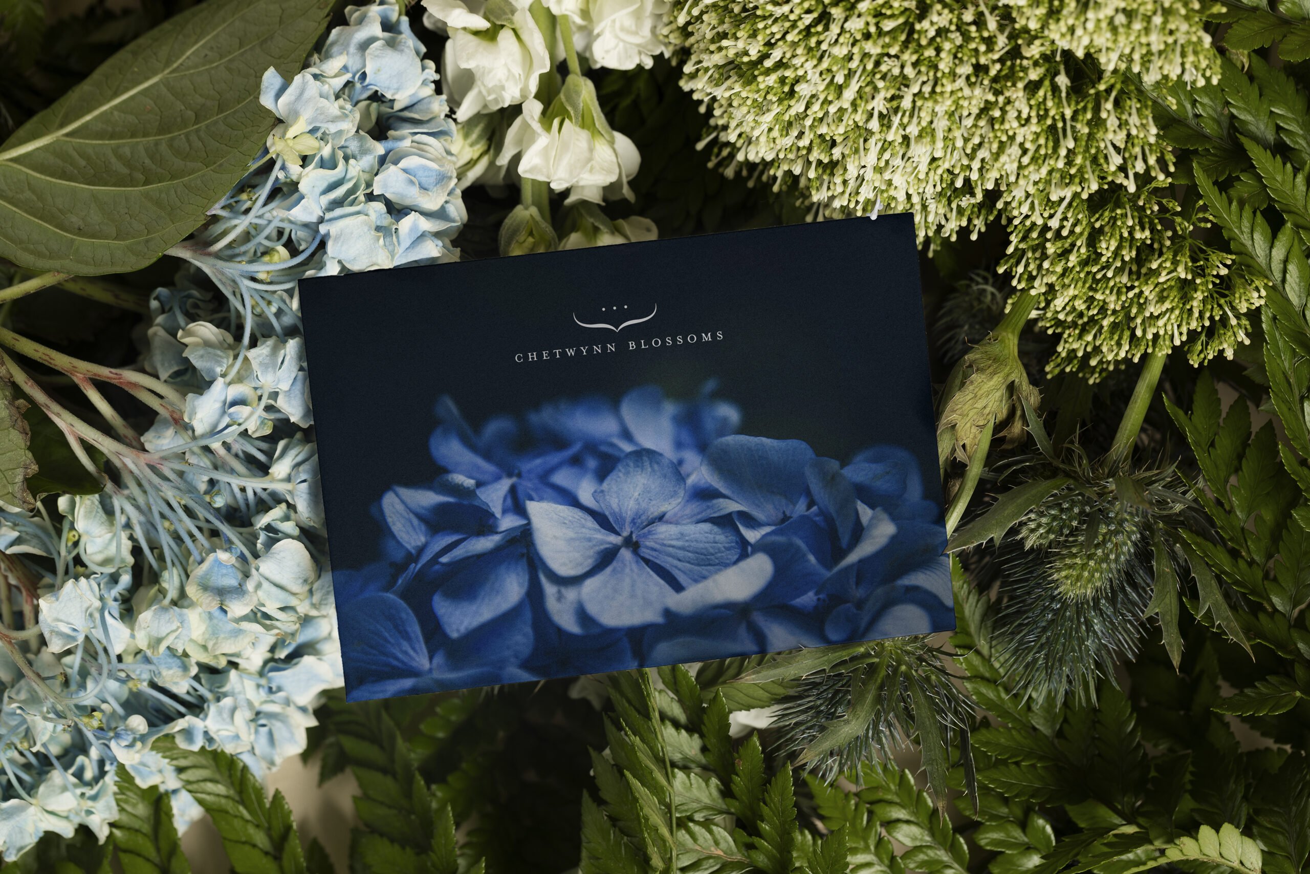 Chetwynn Blossoms brand identity — Florist design by var.studio (8)