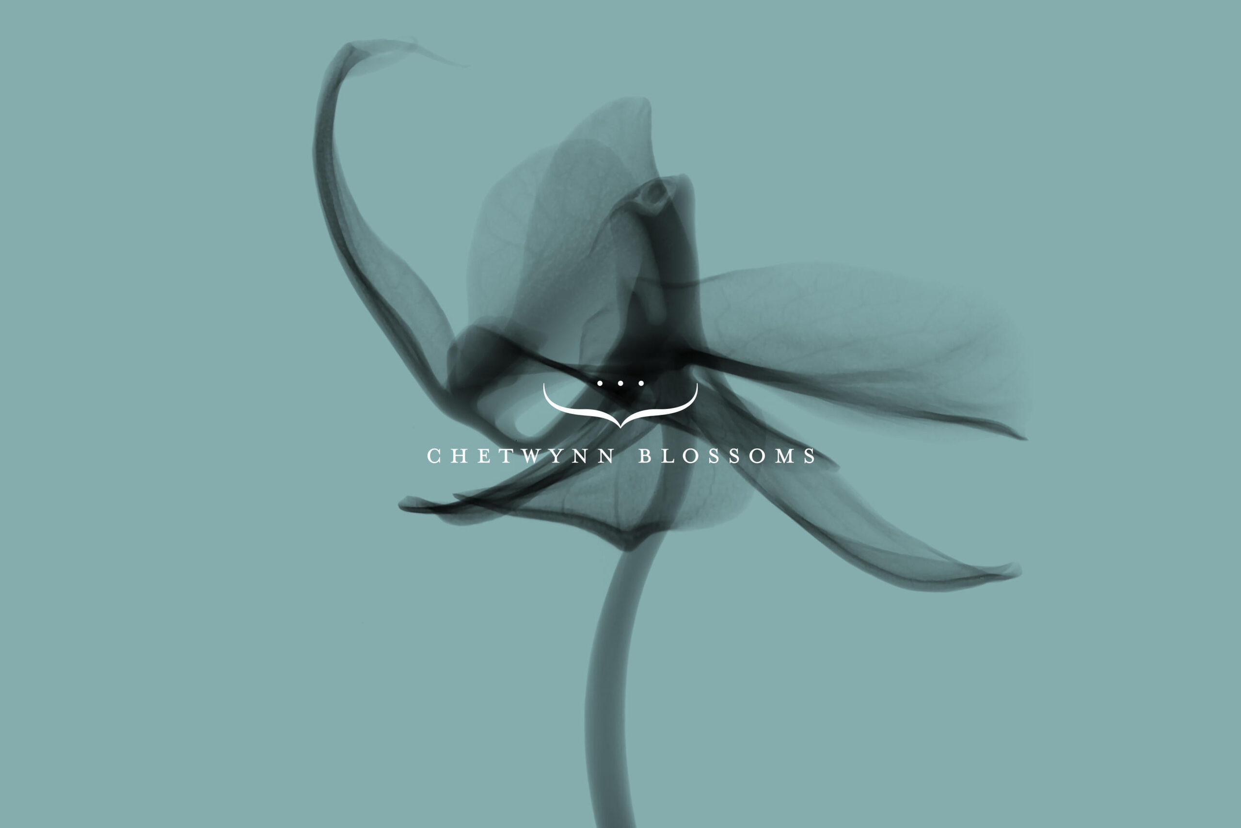 Chetwynn Blossoms brand identity — Florist design by var.studio (3)