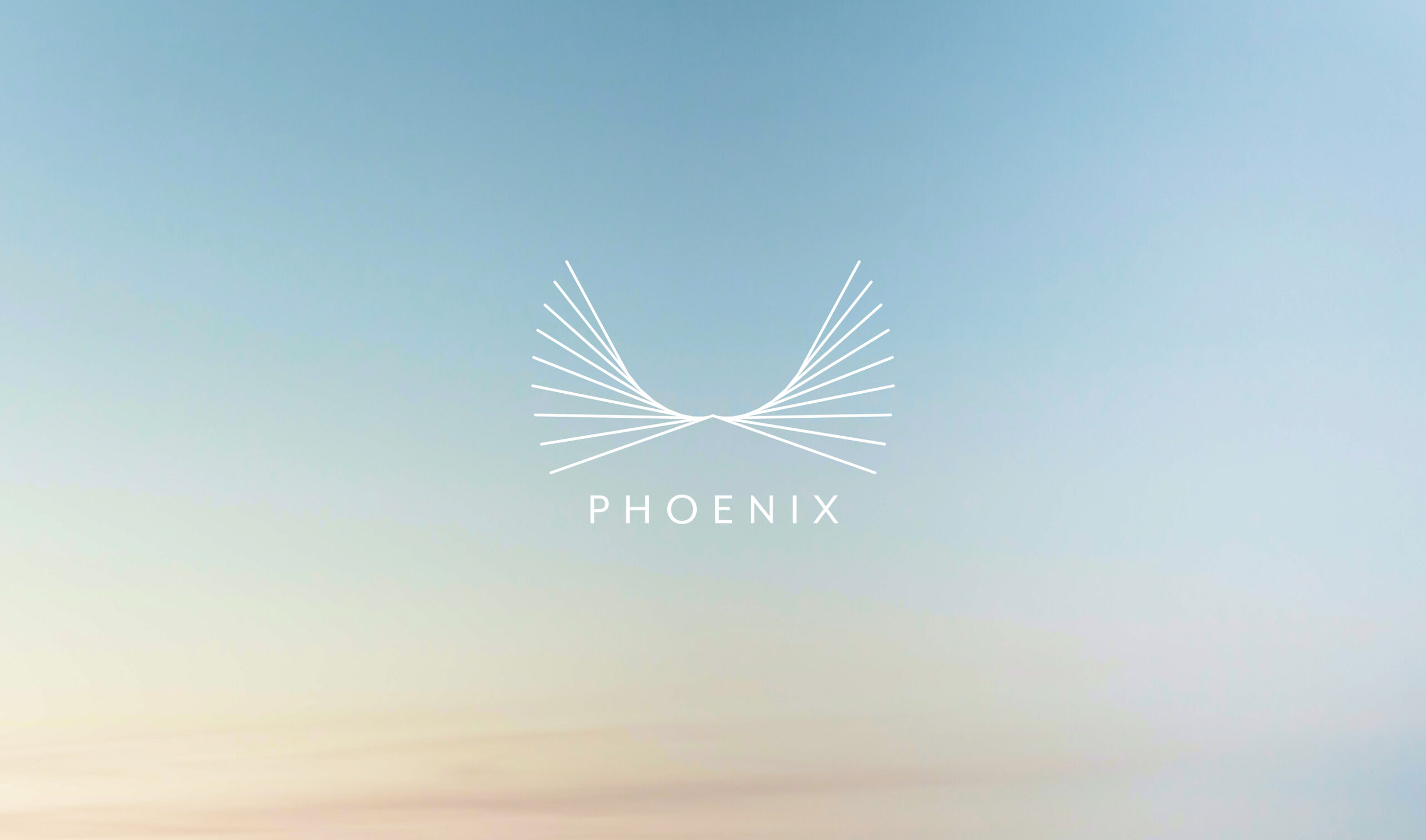 Phoenix brand identity — Skincare design by var.studio (1)
