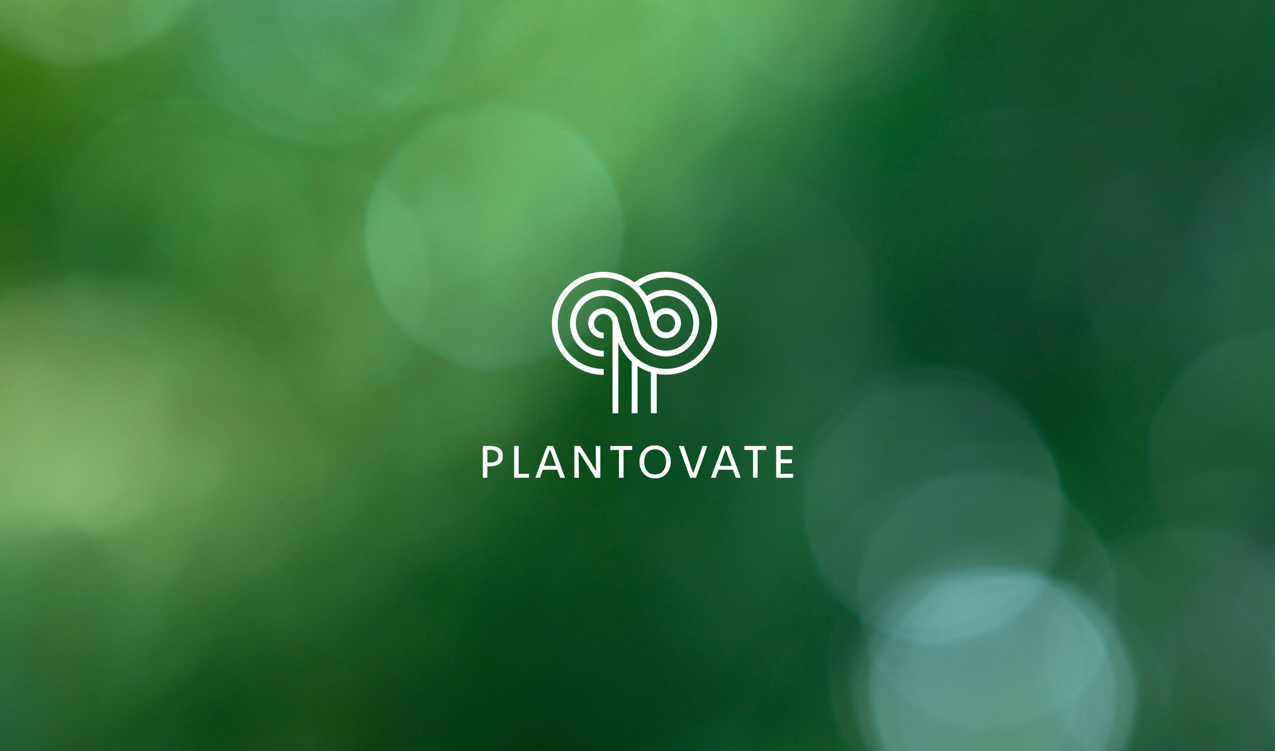 Plantovate brand identity — Agritech design by var.studio (1)