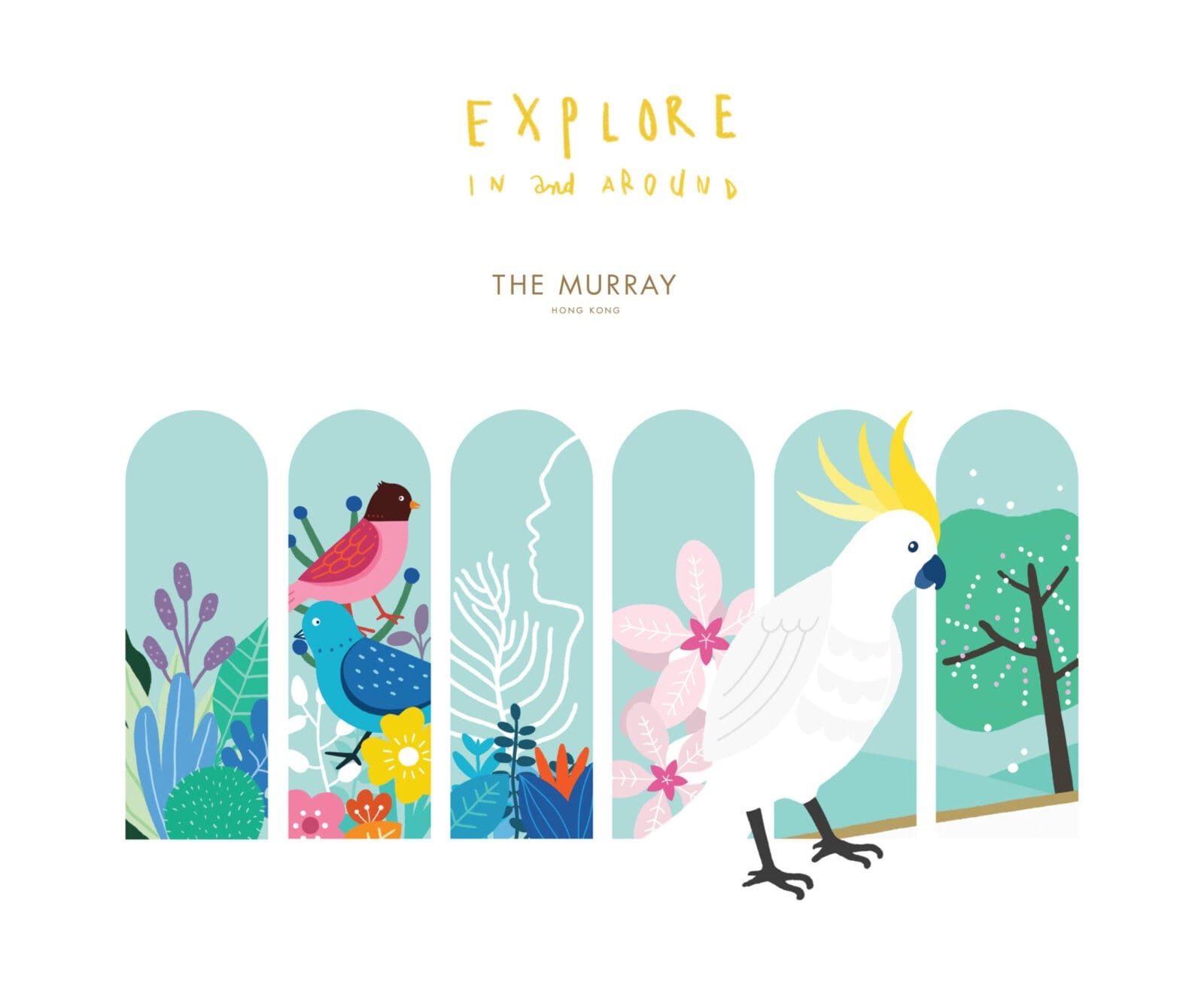The Murray — explore in and around pamphlet design by var.studio