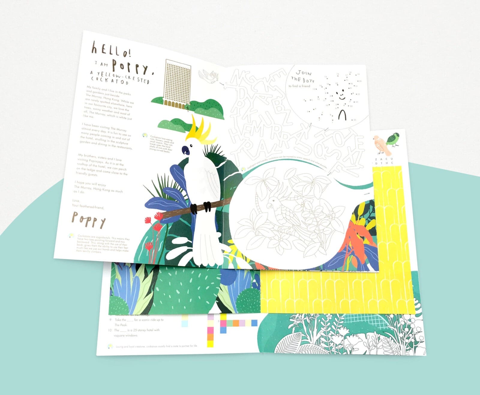 The Murray brand identity — Graphic Design design by var.studio (4)