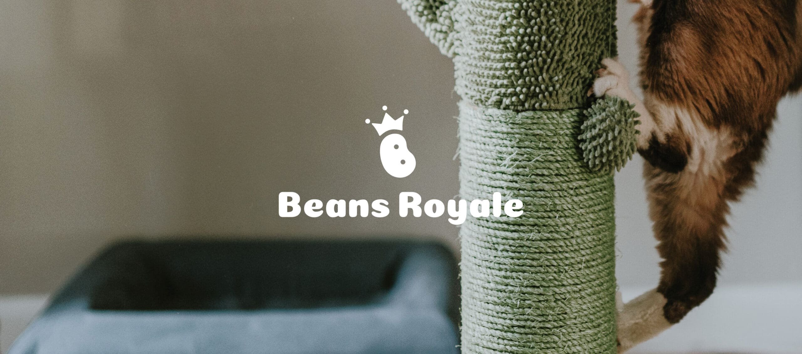 Beans Royale brand identity — Pet Products design by var.studio (2)