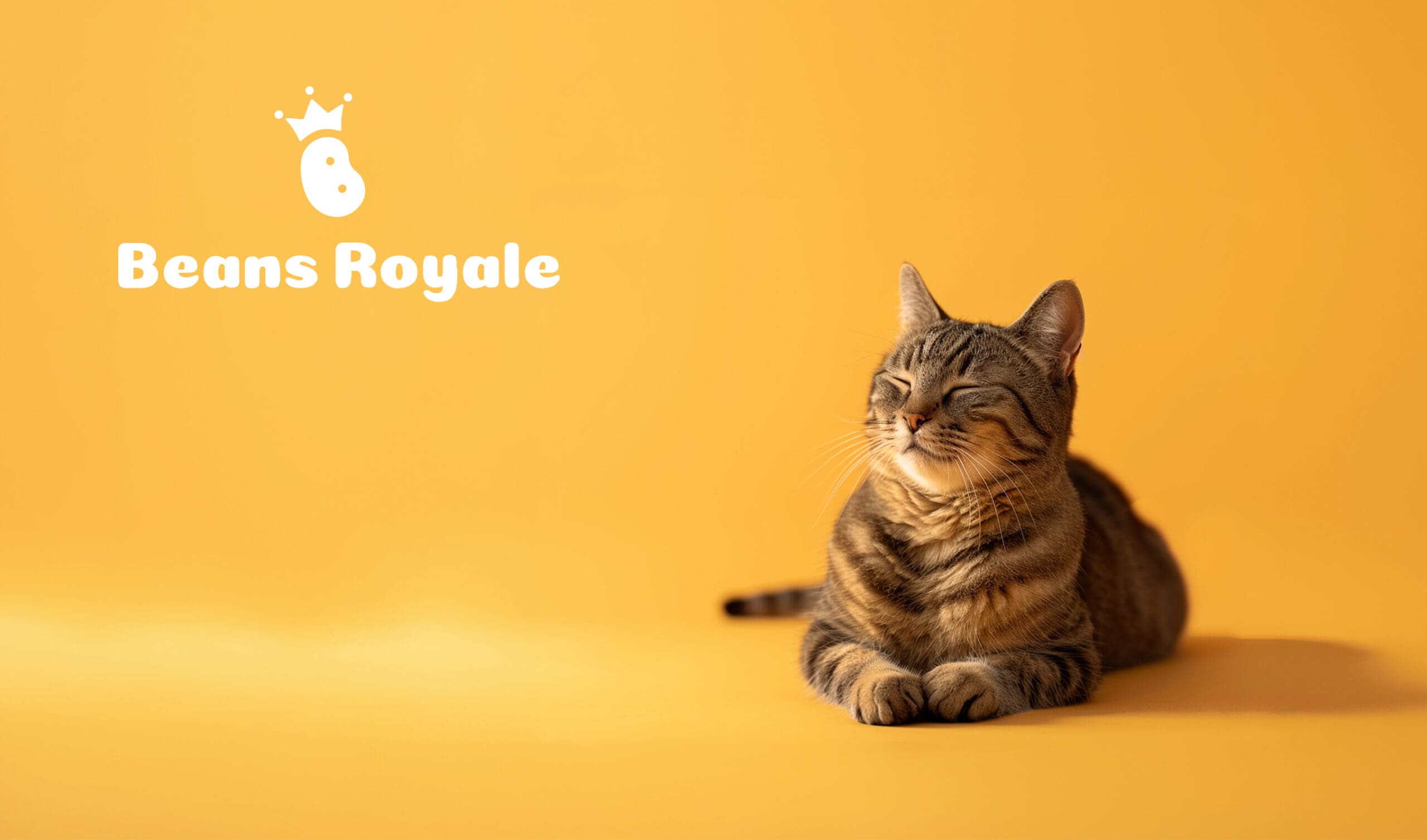Beans Royale brand identity — Pet Products design by var.studio (1)