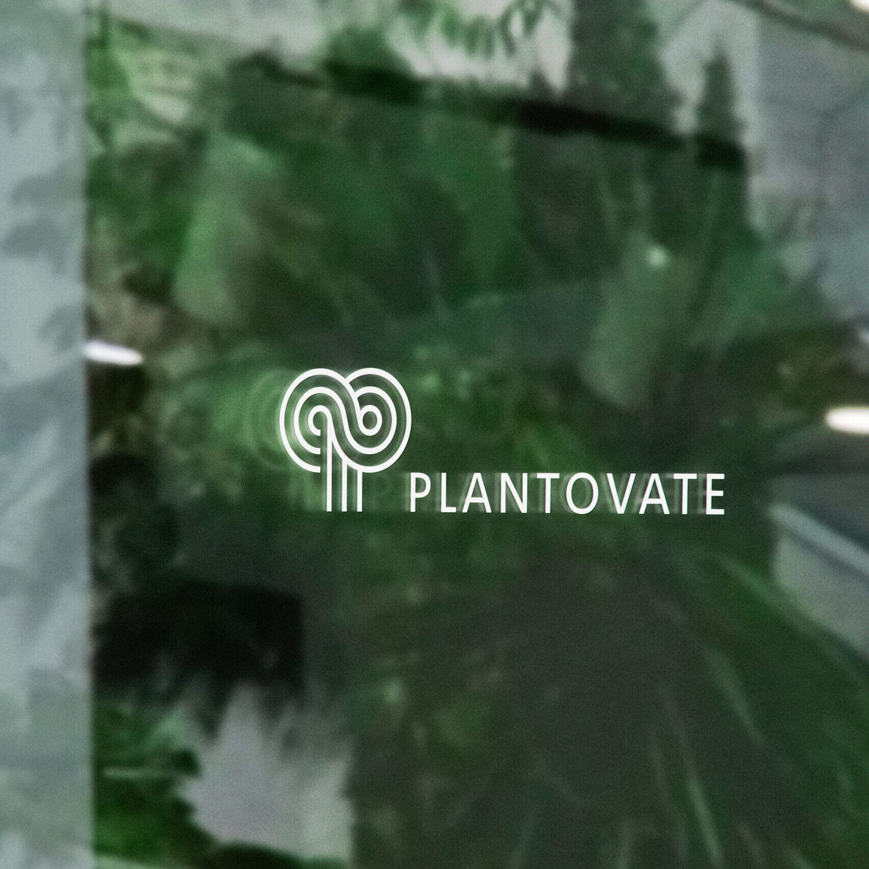 Plantovate brand identity — Agritech design by var.studio (6)