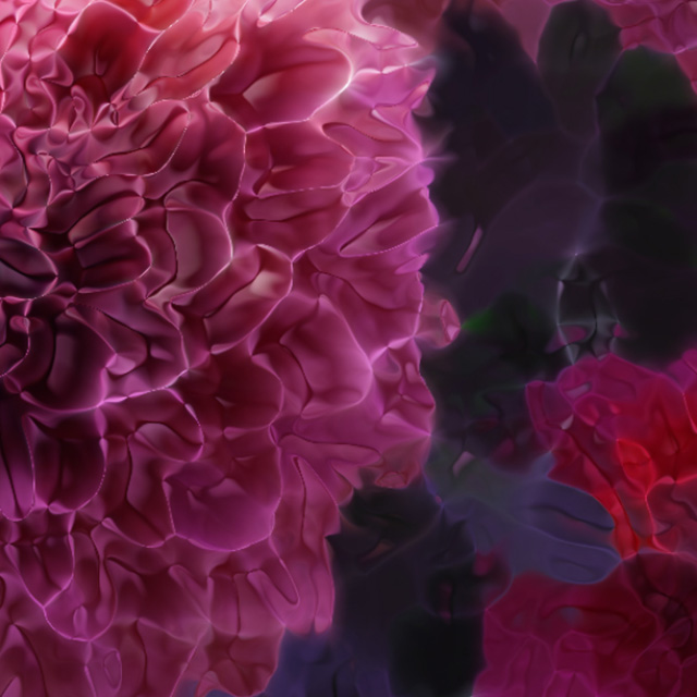 Sushi Tsubomi — video graphic & animation by var.studio