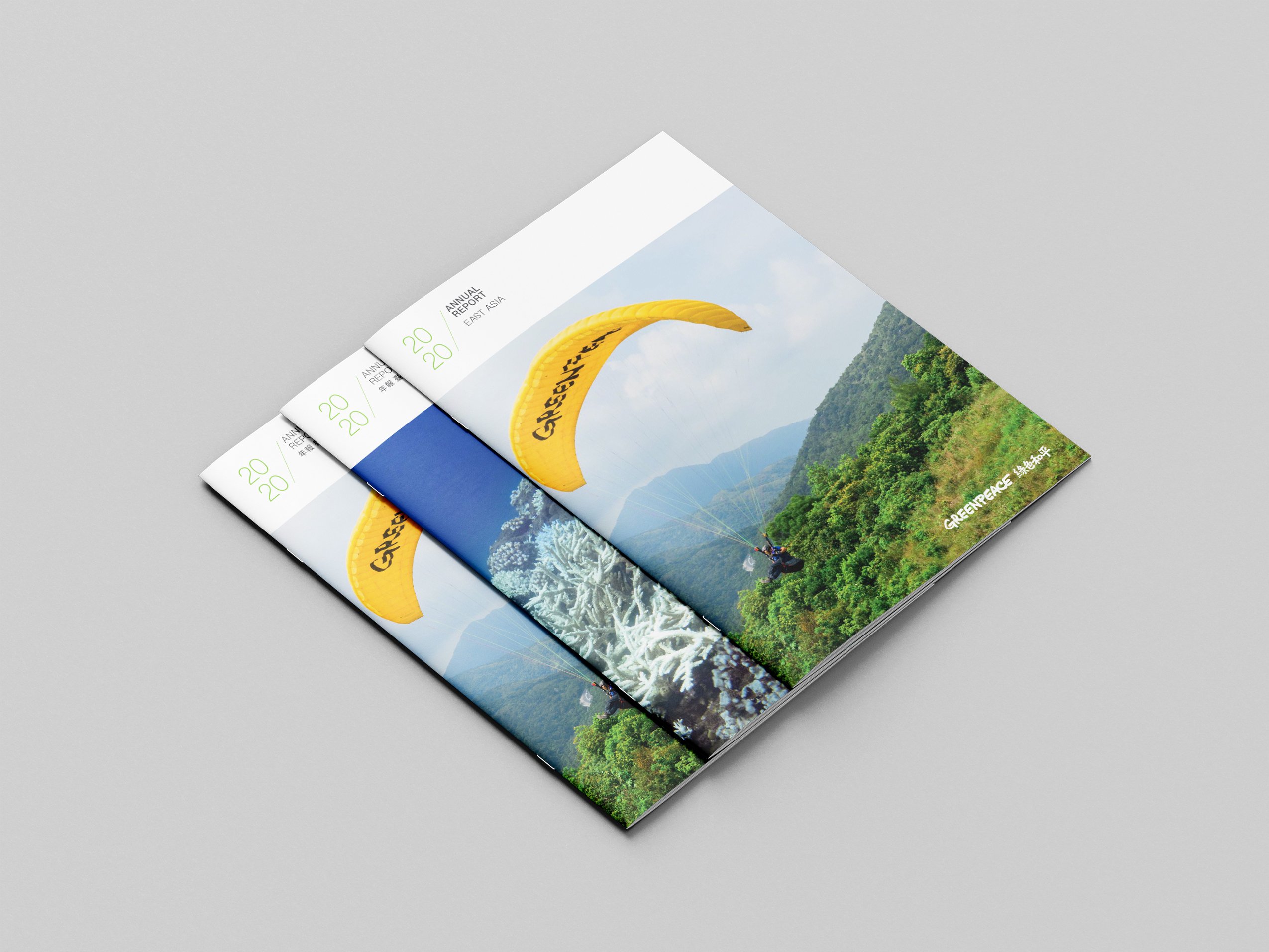Greenpeace East Asia Annual Report Design brand identity — Graphic Design design by var.studio (2)