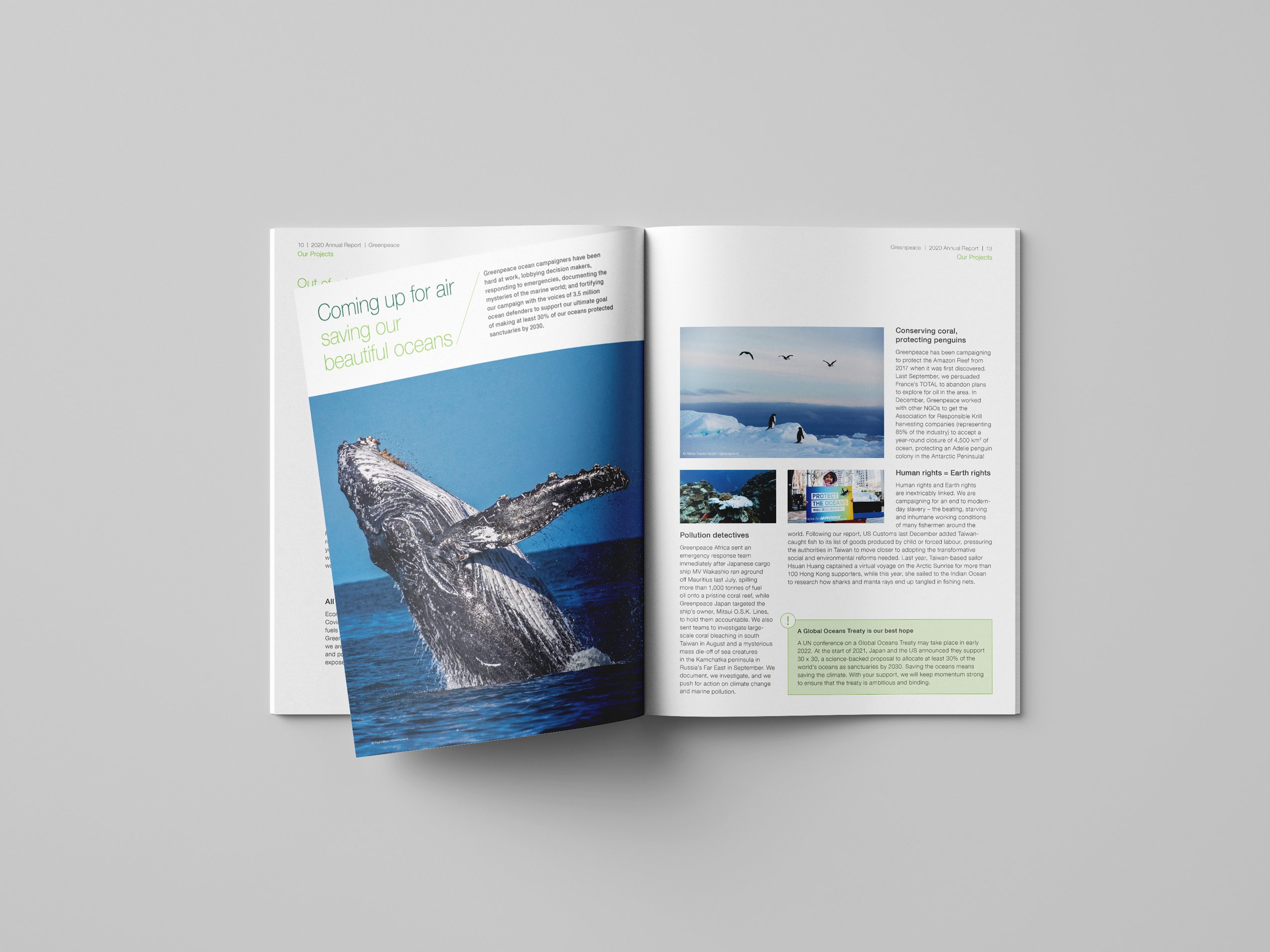 Greenpeace East Asia Annual Report Design brand identity — Graphic Design design by var.studio (5)