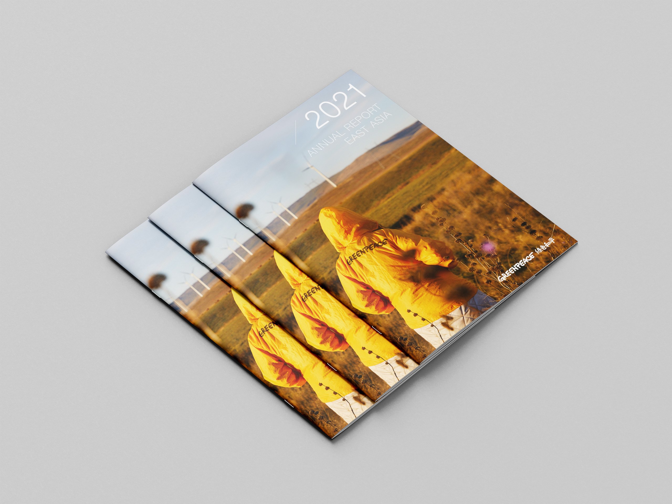 Greenpeace East Asia Annual Report Design brand identity — Graphic Design design by var.studio (7)