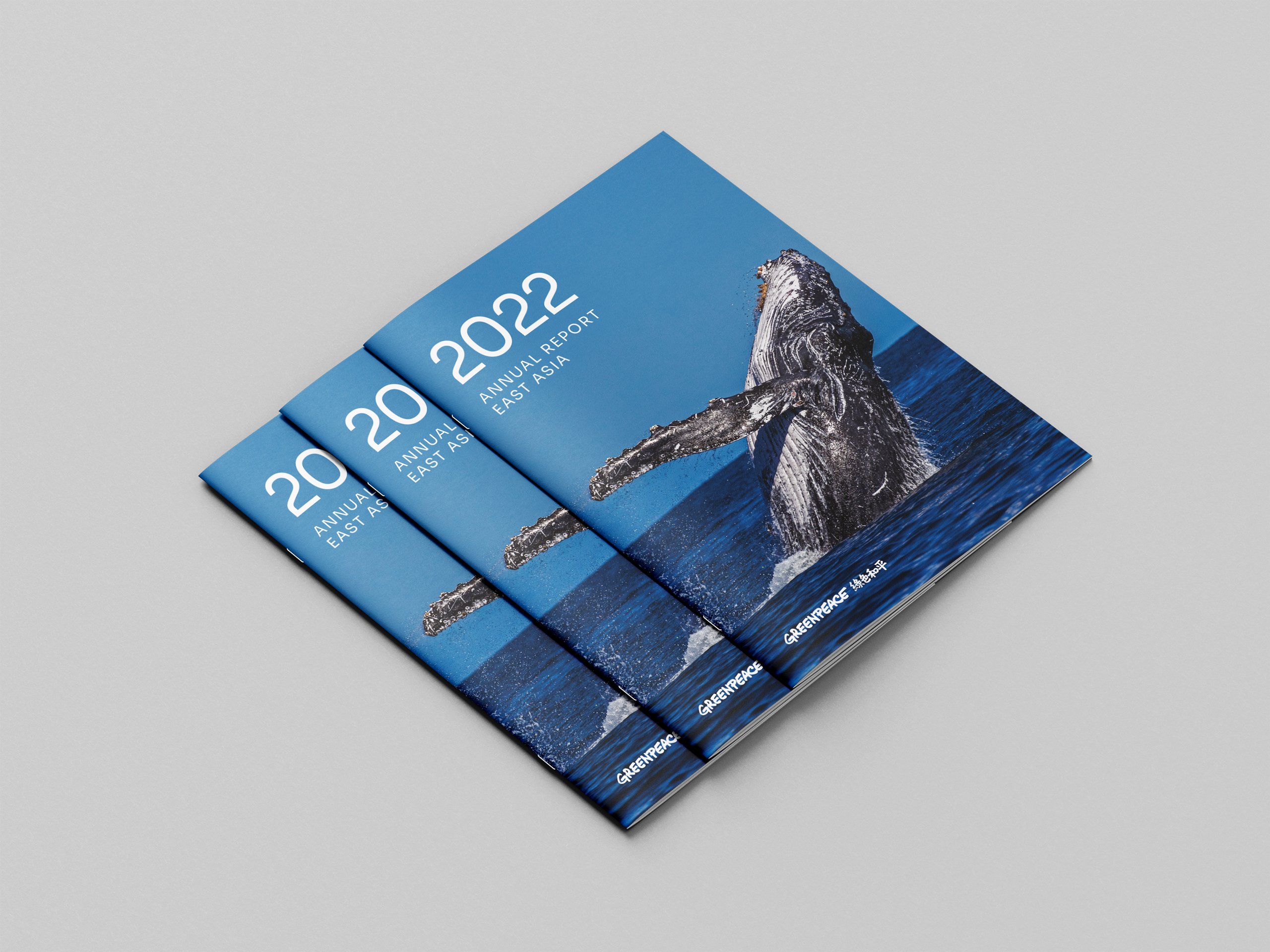 Greenpeace East Asia Annual Report Design brand identity — Graphic Design design by var.studio (12)